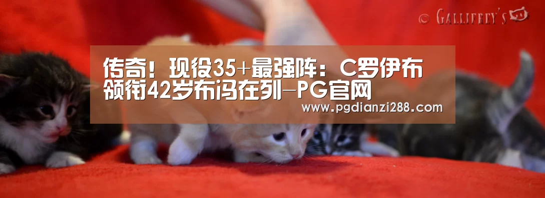 传奇!现役35+最强阵:C罗伊布领衔42岁布冯在列-PG官网(图2) PG棋牌