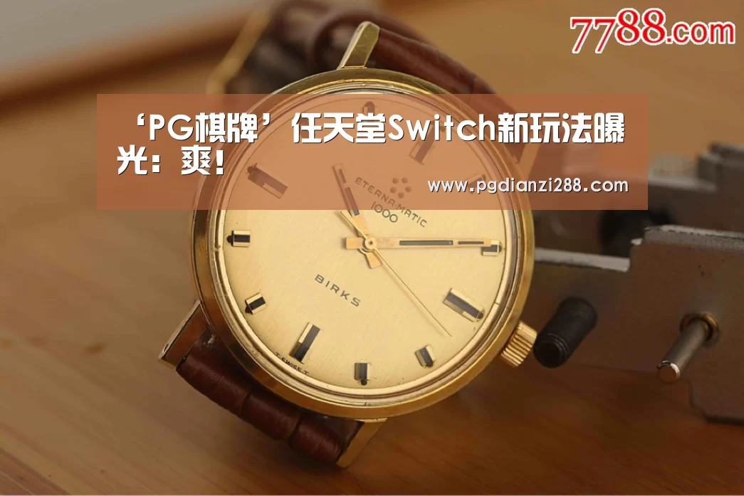 PG官网